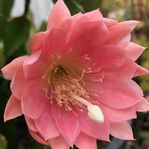 Meet your Posher, Yipeng